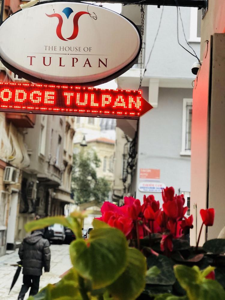 The House Of Tulpan Hotel Istanbul Bagian luar foto